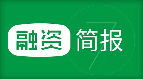 科技行业动态 并购与估值引领网络科技研发新浪潮