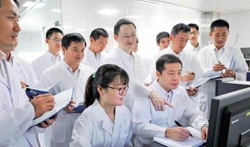 被马云、刘强东、任正非同时看好的城市 杭州何以成为网络科技研发新高地？