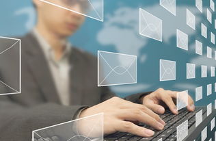 大连新图闻科技 以专业网站建设与科技研发赋能企业数字化转型